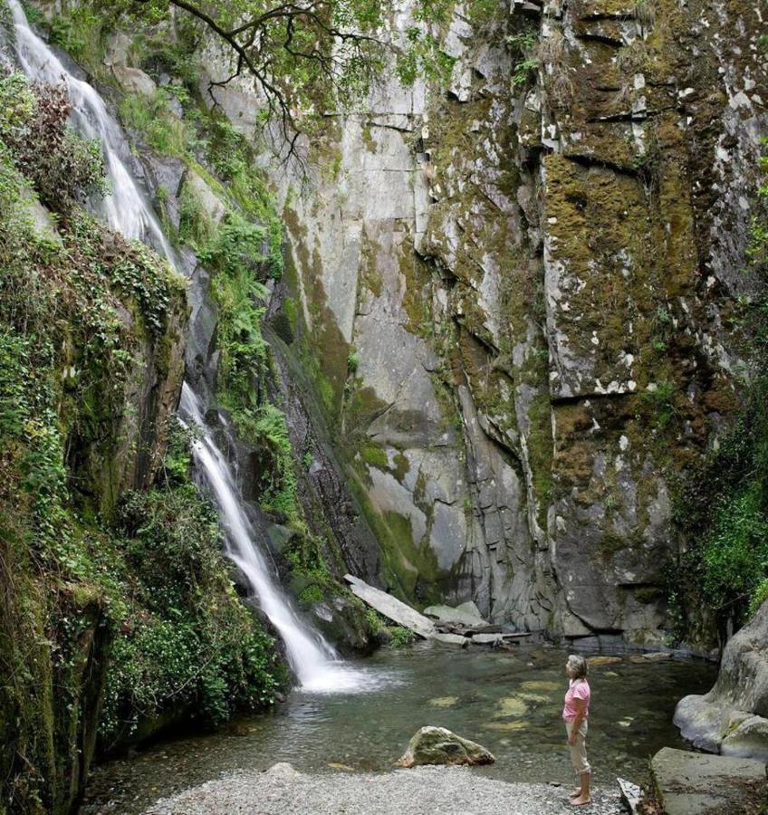 A Pequena Casa Coja Central Portugal Mountains Kültér fotó